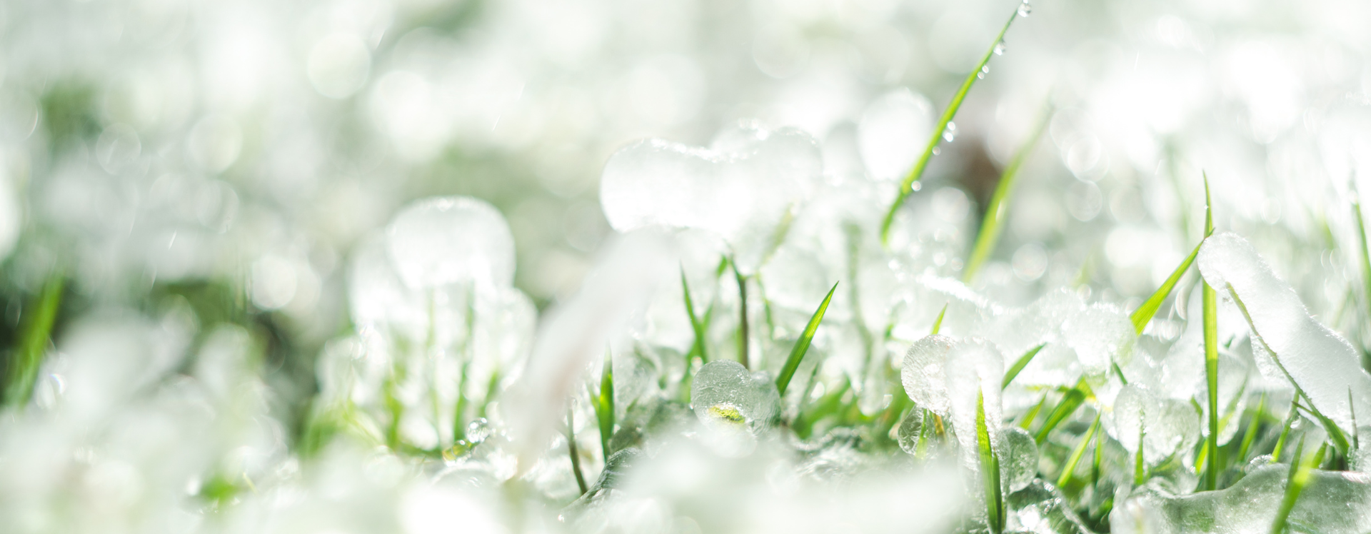 Van den Elzen caravans