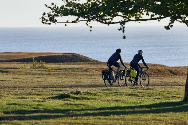Welke fietsendrager voor zware elektrische fietsen van 25-30 kilo?